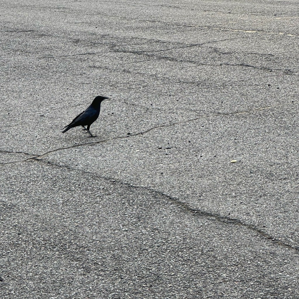 Where do blog names come&nbsp;from?