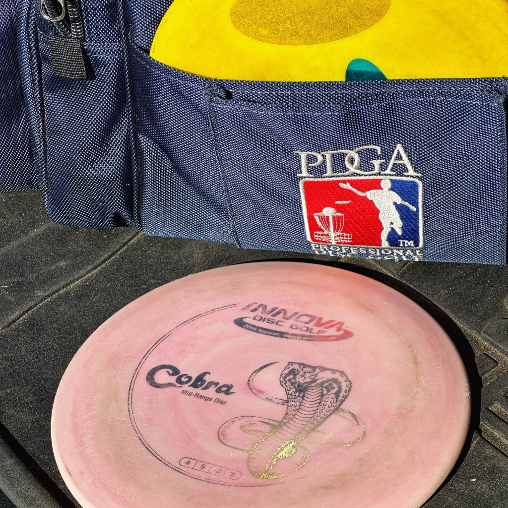 Have I Mentioned Disc&nbsp;Golf?