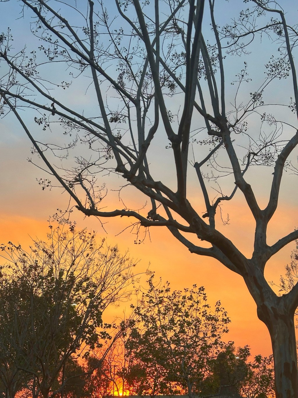 This photo made me&nbsp;sad