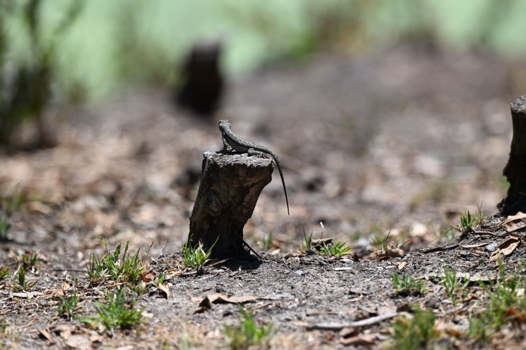 On The Naming Of&nbsp;Things