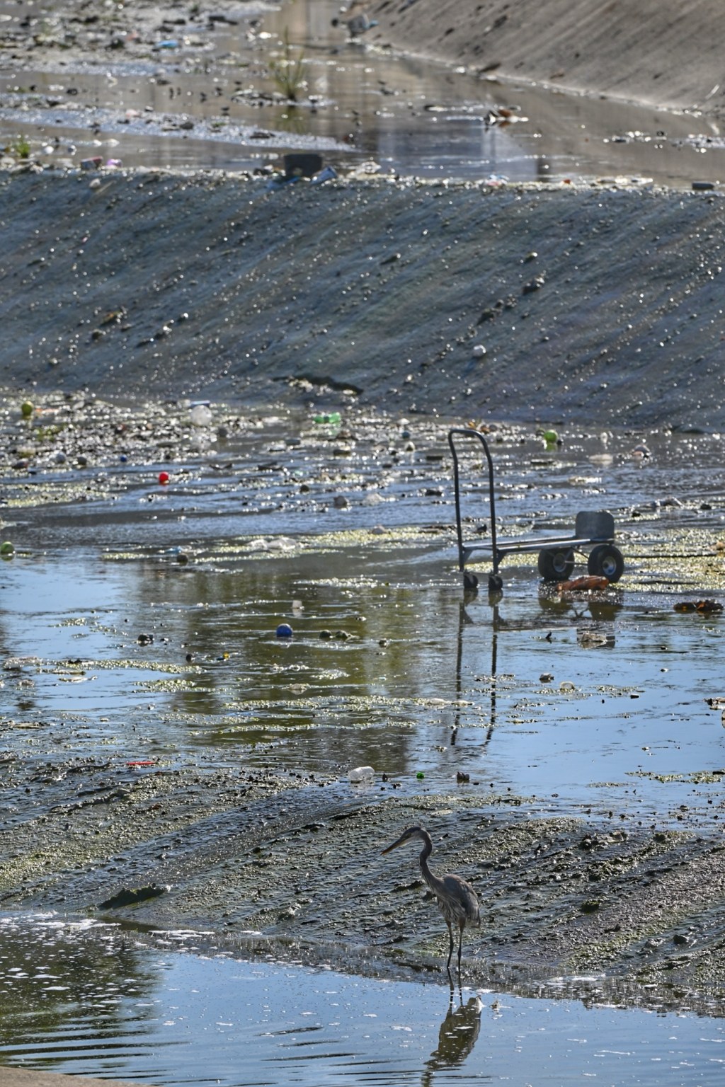 Birding in Questionable&nbsp;Locations