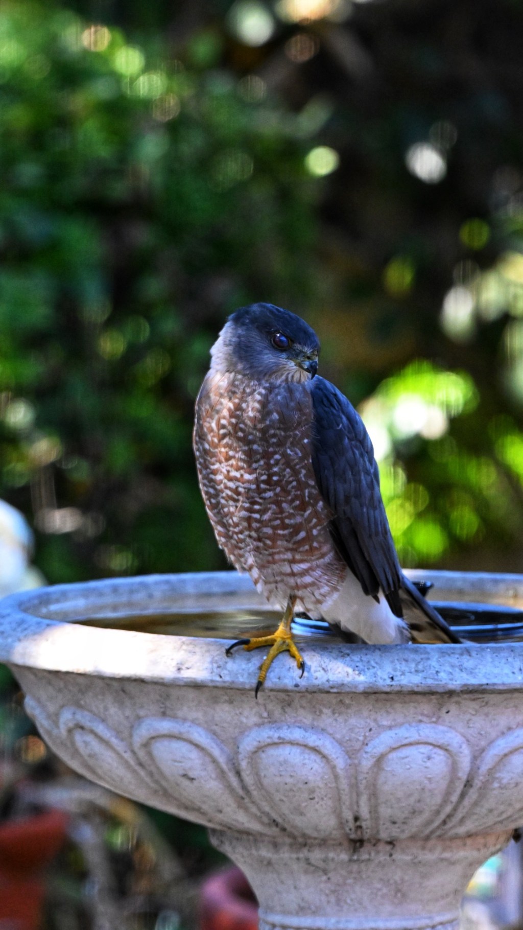 The Joy of Creative&nbsp;Discovery