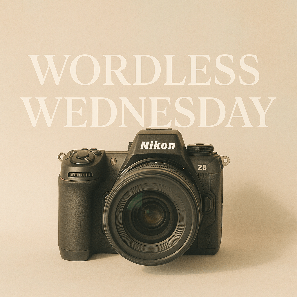 Wordless Wednesday #22