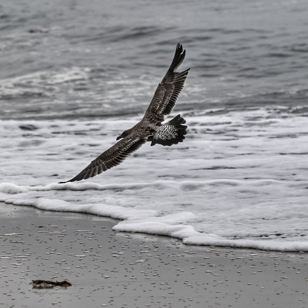 Chasing Shorebirds (and Sore&nbsp;Ankles)
