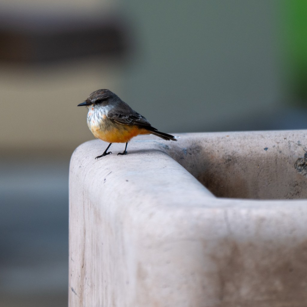 A Walk in the&nbsp;Park