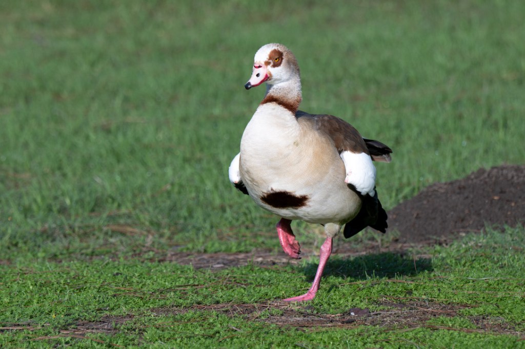 A Story From My&nbsp;Day