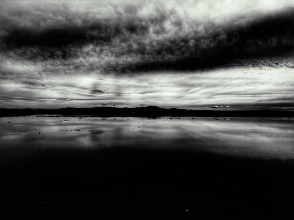 A black and white photo of the northern view from Bolsa Chica Ecological Reserve. 