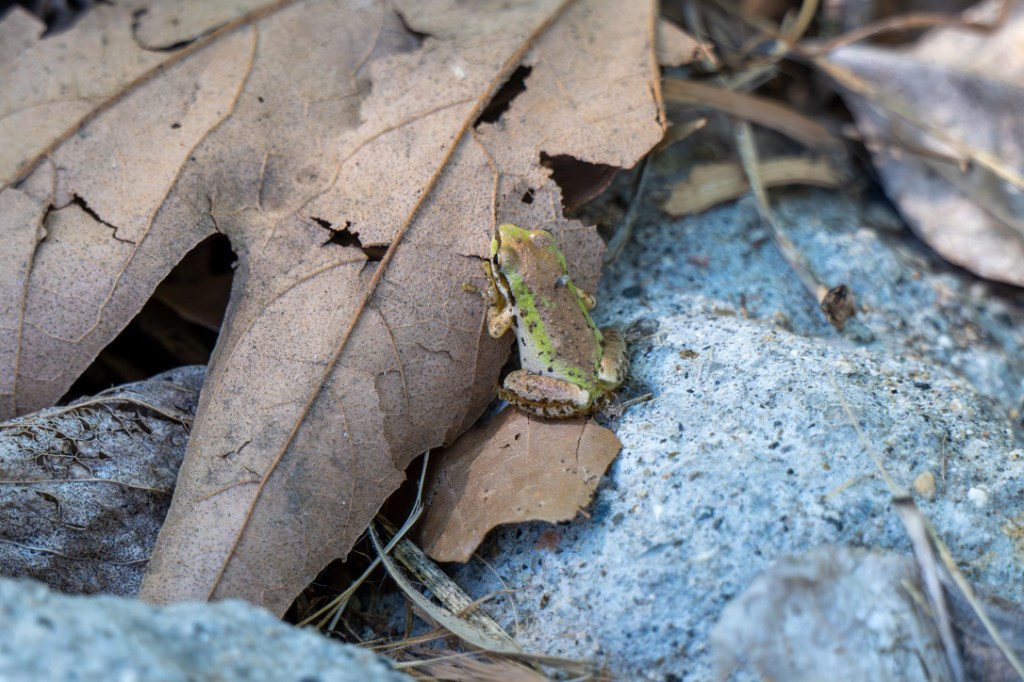 Wordless Wednesday #41