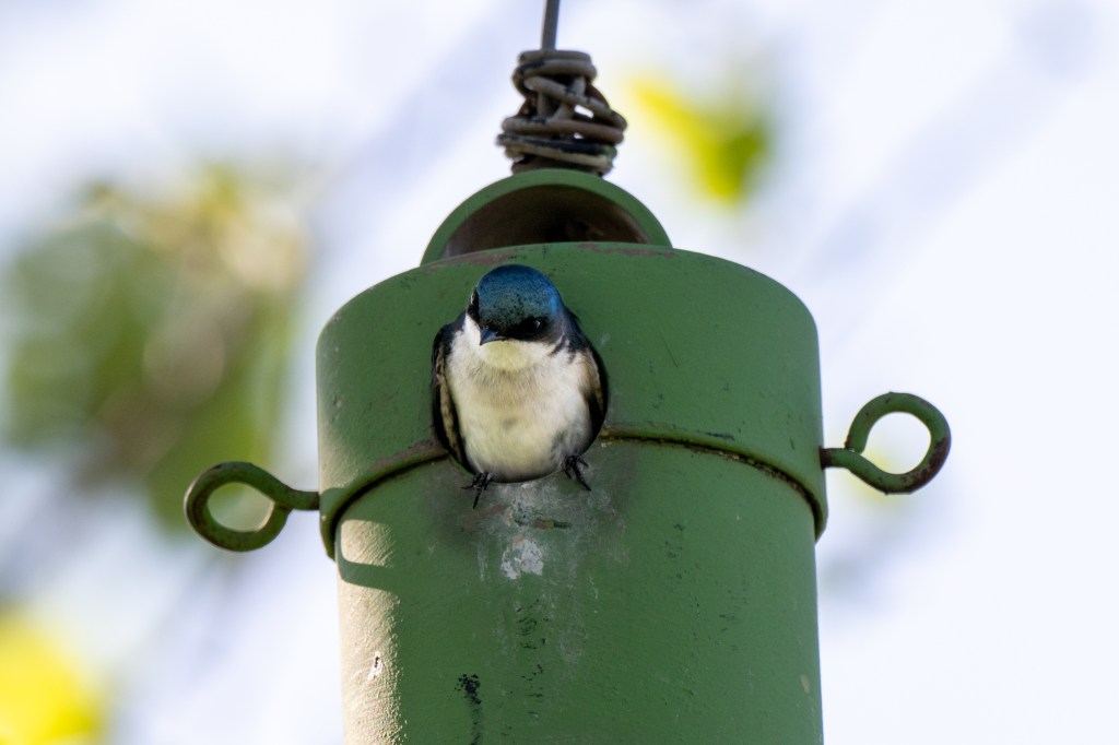 Wordless Wednesday #38