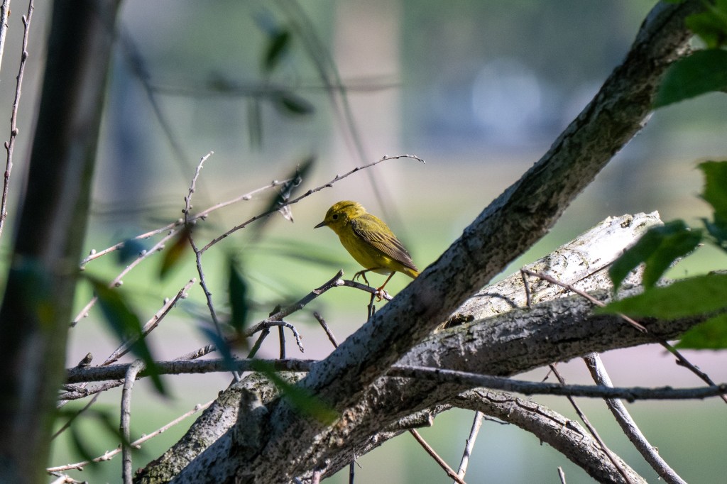 Wordless Wednesday #45