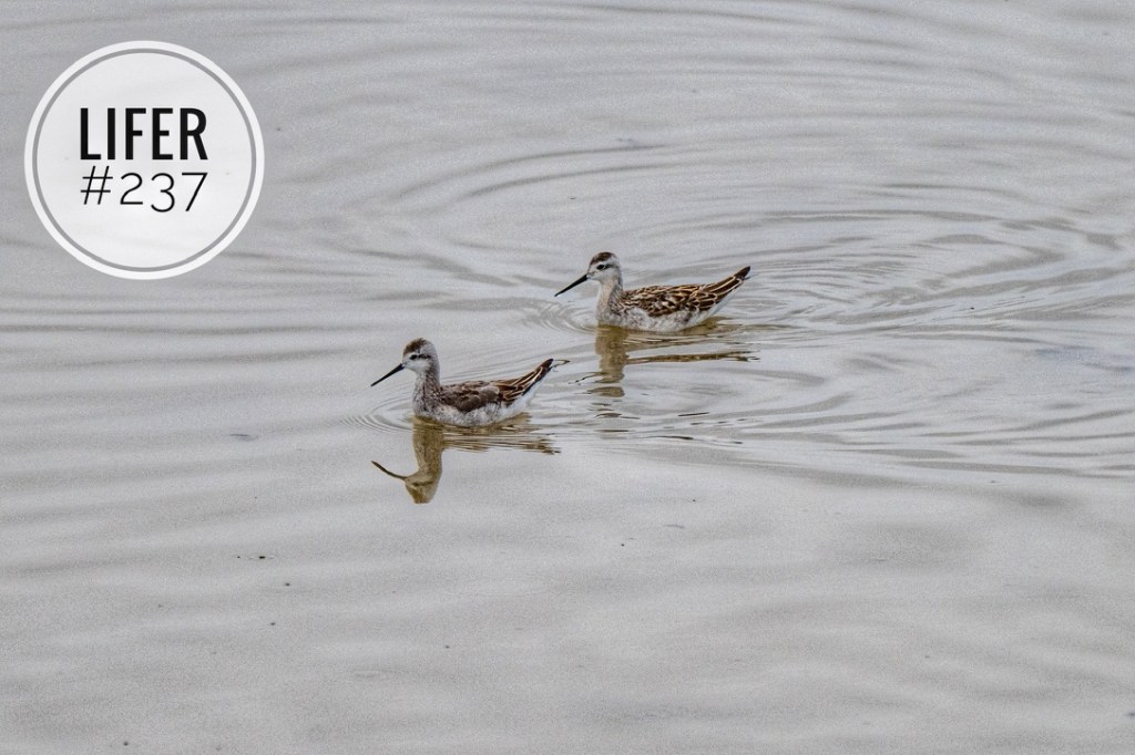 Wordless Wednesday #55